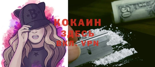 ALPHA-PVP Надым